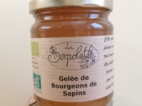 Gelée de bourgeons de sapins