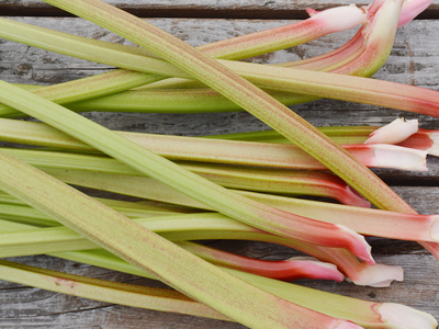 Rhubarbe