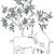 Biquet cendré - tomme de chèvre misèche au lait cru - part de 250g (AB)