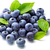 MYRTILLES BLUETS SURGELÉES sachet  500G :Cf IMAGE ET DESCRIPTION