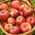 Pommes à couteau