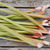 Rhubarbe