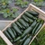 Courgette