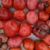 tomate ancienne