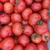 tomate ronde rouge
