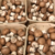 2ième volée Champignons de Madiran Blonds BARQUETTE de 500g